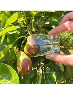 Tour en Destilería 1...